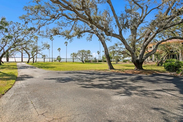147 Edgewater Dr, Dunedin, FL 34698 - photo 40