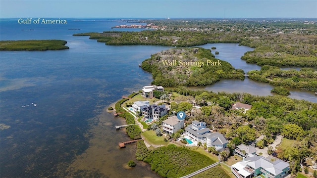 404 Hillsborough St, Palm Harbor, FL 34683 - photo 85