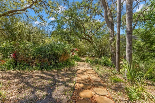 187 Sage Cir, Crystal Beach, FL 34681 - view of road