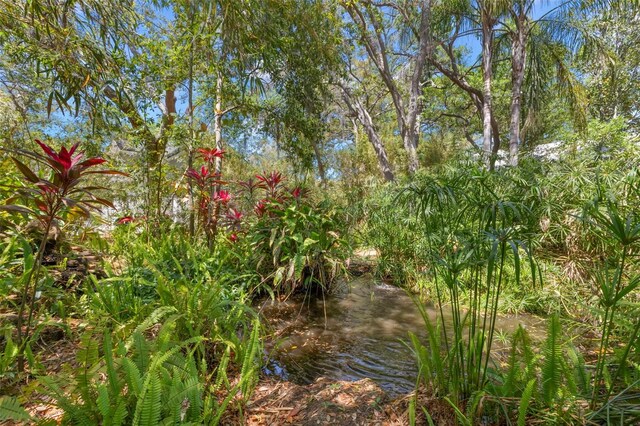 187 Sage Cir, Crystal Beach, FL 34681 - view of local wilderness