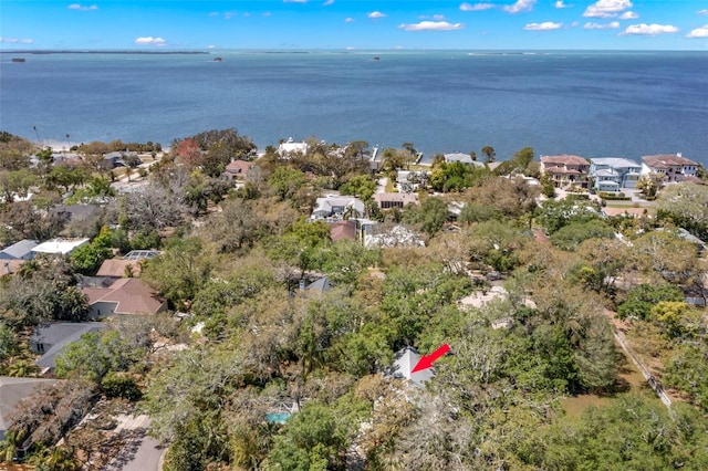 187 Sage Cir, Crystal Beach, FL 34681 - aerial view of property's location with a large body of water and nearby suburban area