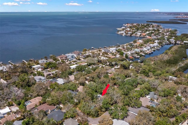 187 Sage Cir, Crystal Beach, FL 34681 - aerial overview of property's location with a large body of water and nearby suburban area