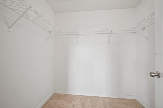 spacious closet with light carpet