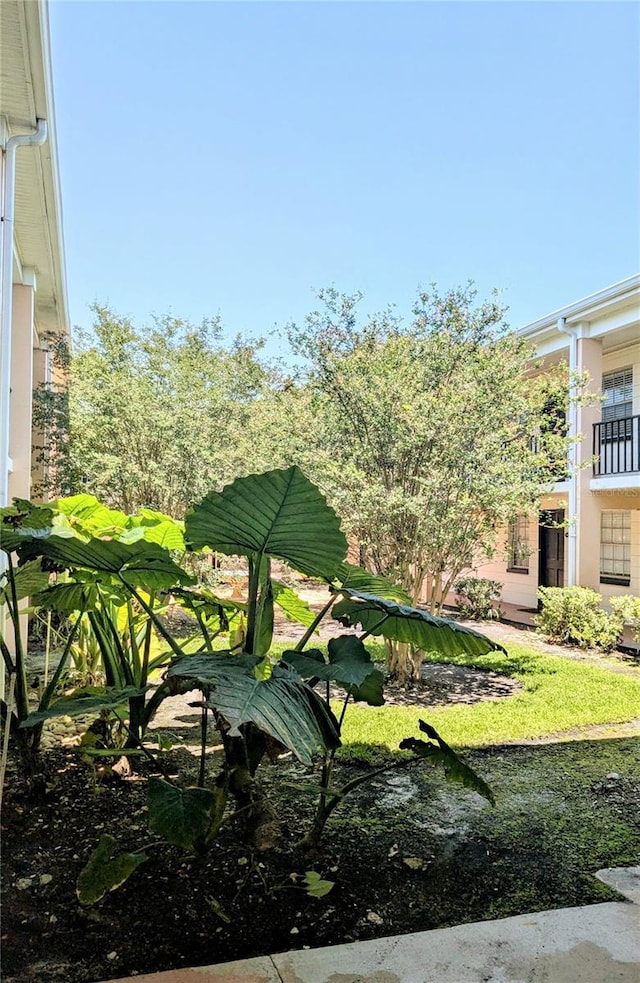 120 S Church Ave Unit 207, Tampa, FL 33609 - photo 12