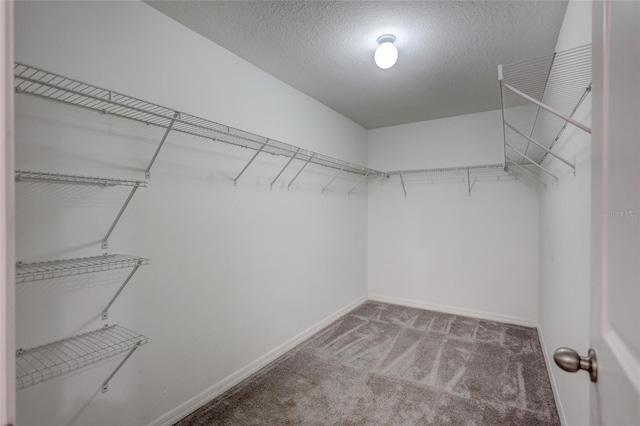 spacious closet with carpet floors