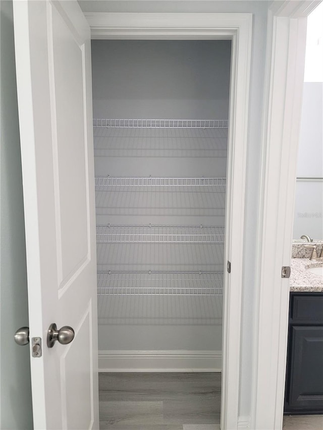5509 Cumberland Star Ct, Lutz, FL 33558 - view of closet