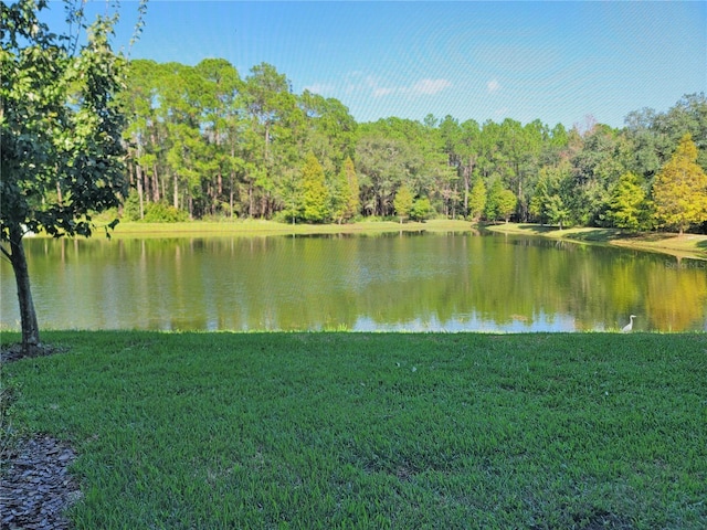 5509 Cumberland Star Ct, Lutz, FL 33558 - water view with a heavily wooded area