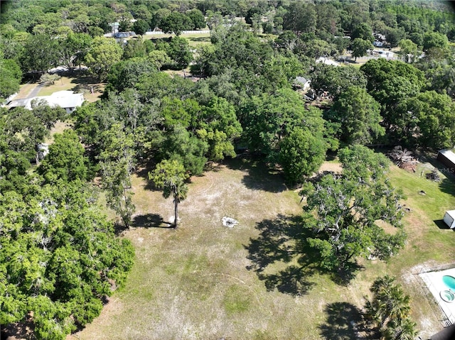 17335 Eagle Ln, Lutz, FL 33558