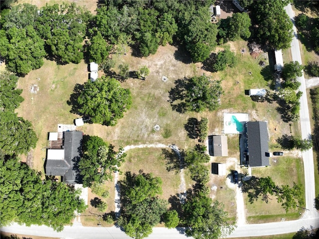 17335 Eagle Ln, Lutz, FL 33558