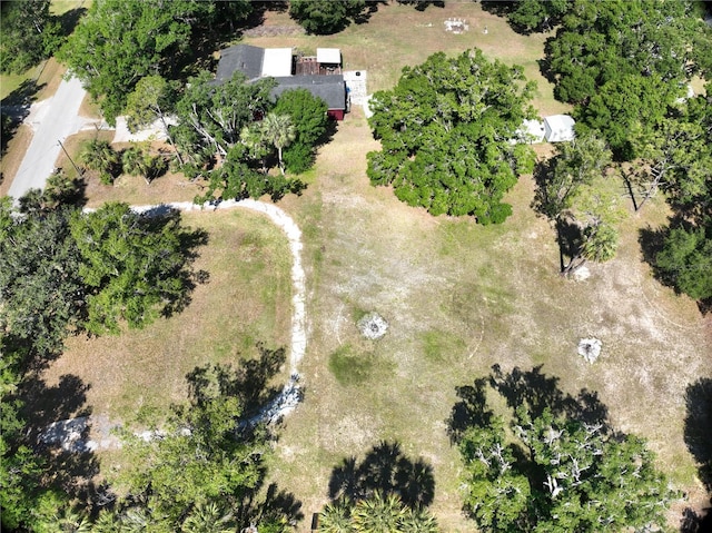 17335 Eagle Ln, Lutz, FL 33558