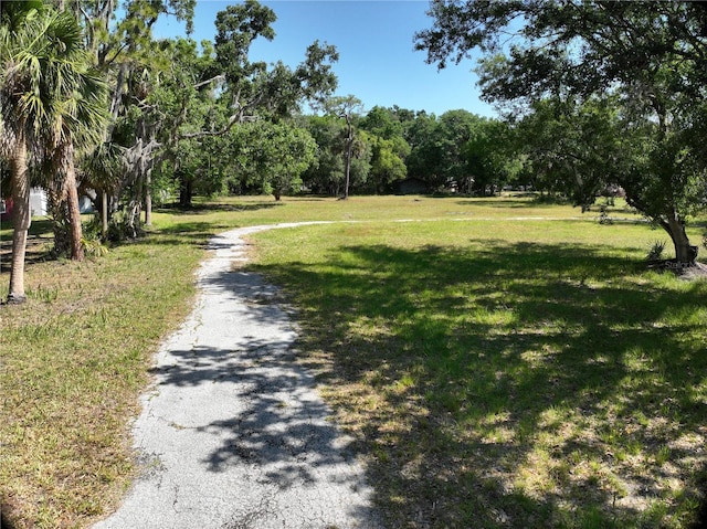 17335 Eagle Ln, Lutz, FL 33558