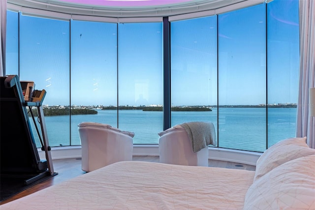 12650 7th St E, Treasure Island, FL 33706 - bedroom with a water view and wood finished floors