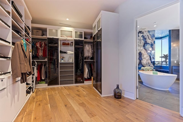 12650 7th St E, Treasure Island, FL 33706 - spacious closet with light wood-style floors