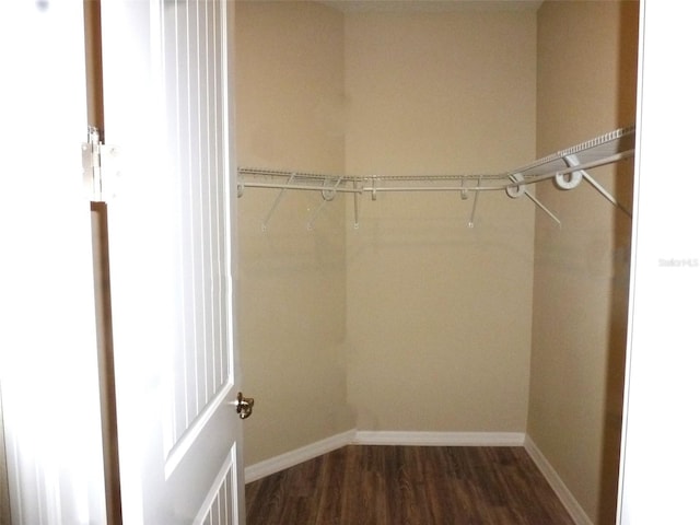 8890 SW 104th Cir, Ocala, FL 34481 - walk in closet featuring dark wood finished floors