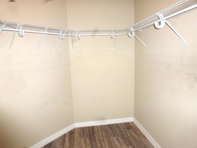 8890 SW 104th Cir, Ocala, FL 34481 - photo 42