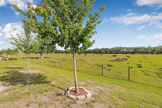 5429 Companion Ln, Tampa, FL 33619 - view of yard with fence and a rural view
