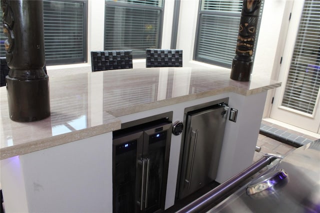 1509 Amarone Pl, Lutz, FL 33548 - detailed view of beverage cooler and light countertops