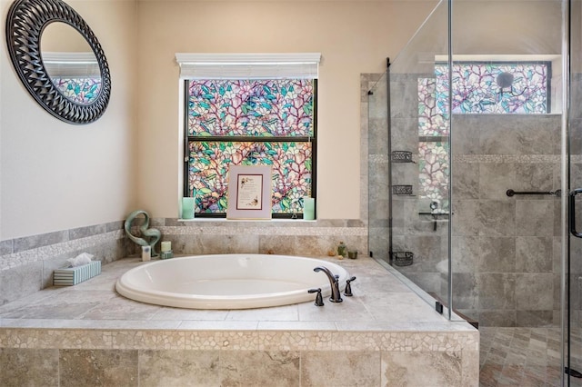 1509 Amarone Pl, Lutz, FL 33548 - full bathroom featuring plenty of natural light, a garden tub, and a stall shower