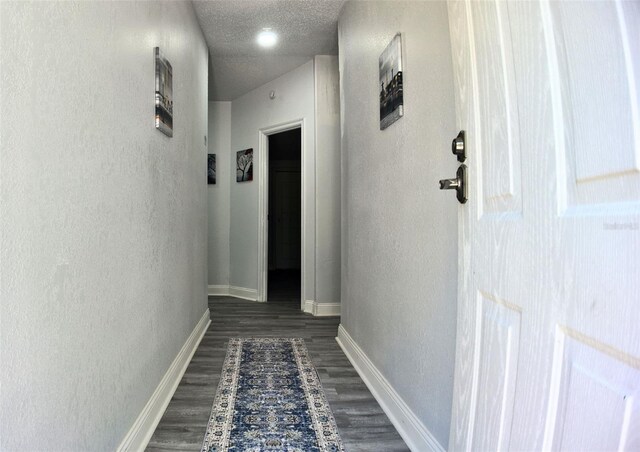 8835 674th Hwy, Wimauma, FL 33598 - photo 13