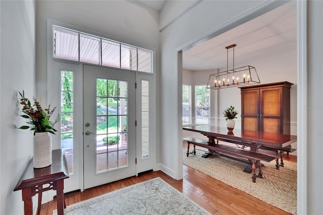 16420 Iola Woods Trl, Dade City, FL 33523 - doorway featuring baseboards, an inviting chandelier, and wood finished floors