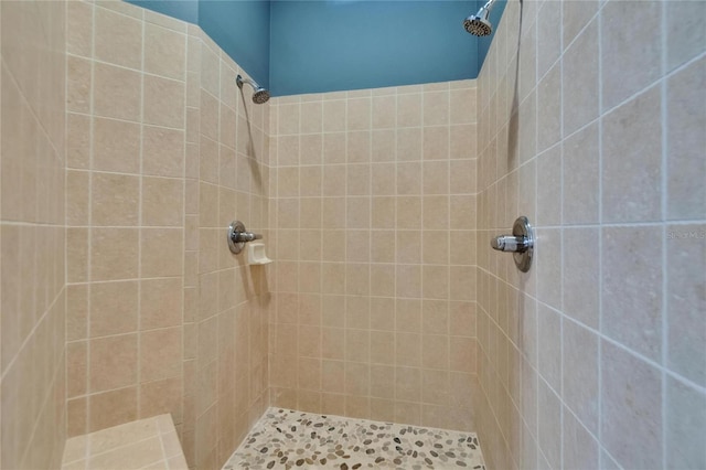 16420 Iola Woods Trl, Dade City, FL 33523 - full bath with tiled shower