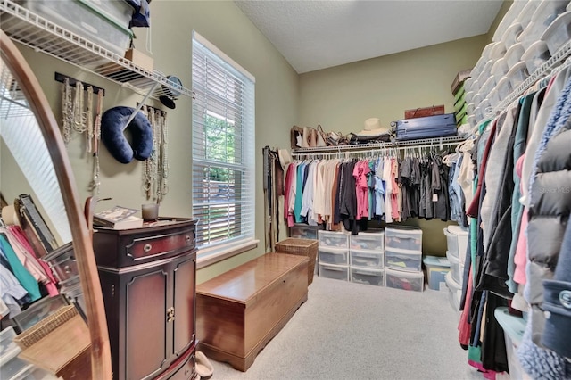 16420 Iola Woods Trl, Dade City, FL 33523 - walk in closet with carpet flooring