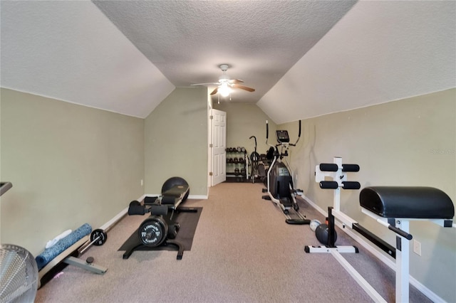 16420 Iola Woods Trl, Dade City, FL 33523 - exercise area with ceiling fan, a textured ceiling, carpet floors, lofted ceiling, and baseboards