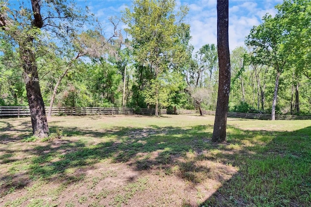 16420 Iola Woods Trl, Dade City, FL 33523 - view of yard featuring fence
