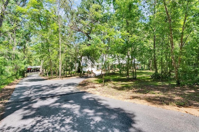 16420 Iola Woods Trl, Dade City, FL 33523 - view of street with a forest view and aphalt driveway