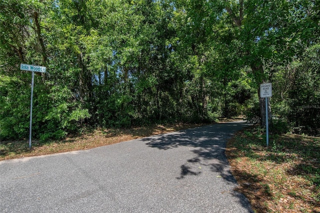 16420 Iola Woods Trl, Dade City, FL 33523 - view of street featuring a forest view