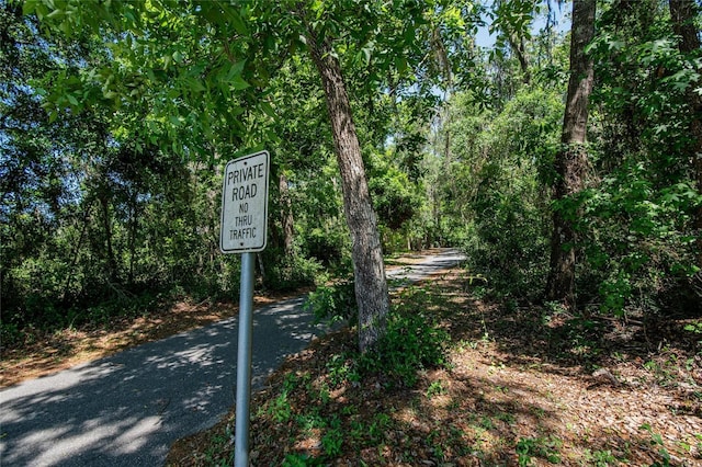16420 Iola Woods Trl, Dade City, FL 33523 - view of road with a forest view