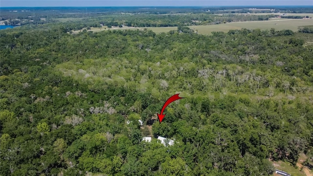 16420 Iola Woods Trl, Dade City, FL 33523 - bird's eye view with a view of trees