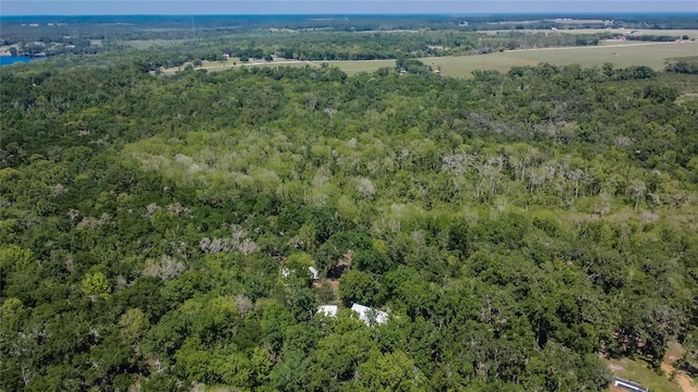 16420 Iola Woods Trl, Dade City, FL 33523 - birds eye view of property with a forest view