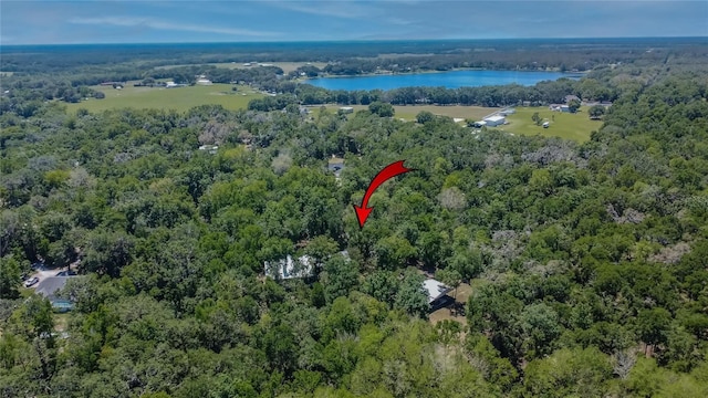 16420 Iola Woods Trl, Dade City, FL 33523 - aerial view featuring a wooded view and a water view