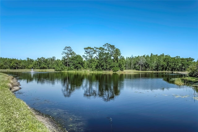 8116 Sanguinelli Rd, Land O Lakes, FL 34637 - view of water feature with a view of trees