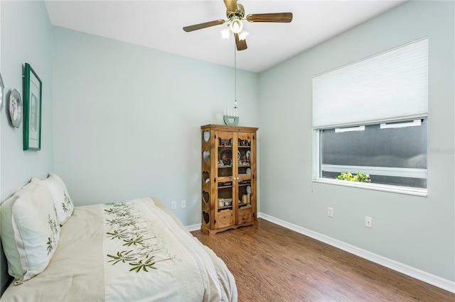 8116 Sanguinelli Rd, Land O Lakes, FL 34637 - bedroom with wood finished floors, baseboards, and ceiling fan
