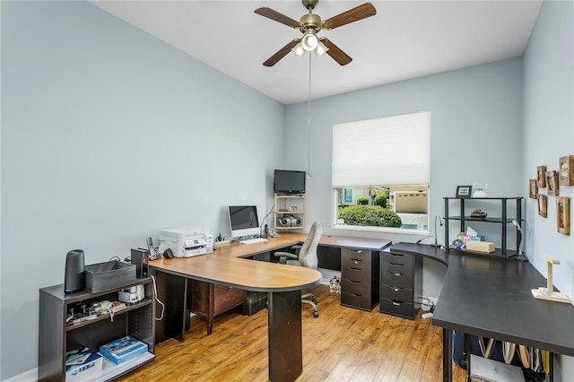 8116 Sanguinelli Rd, Land O Lakes, FL 34637 - office space featuring light wood-type flooring and ceiling fan