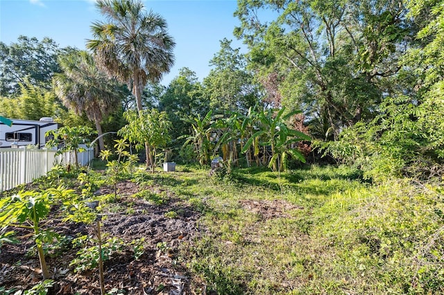6907 W Creek Dr, Tampa, FL 33615 - photo 43