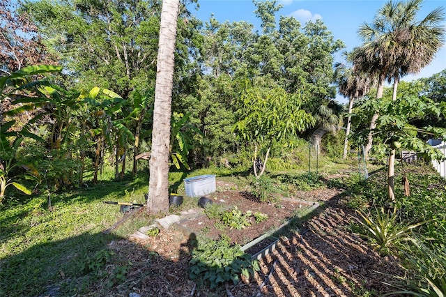 6907 W Creek Dr, Tampa, FL 33615 - photo 45