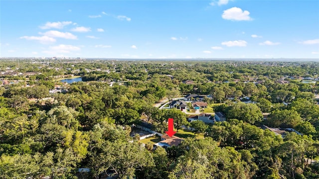 6907 W Creek Dr, Tampa, FL 33615 - photo 50