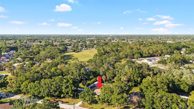 6907 W Creek Dr, Tampa, FL 33615 - photo 51