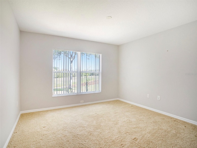 10534 Collar Dr, San Antonio, FL 33576 - photo 24