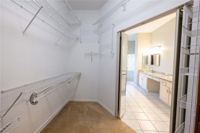 9159 Highland Ridge Way, Tampa, FL 33647 - walk in closet with light colored carpet