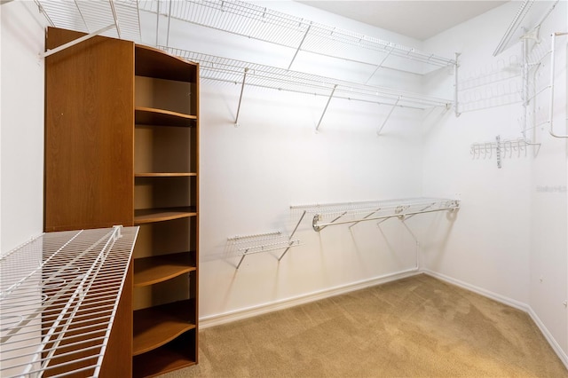 9159 Highland Ridge Way, Tampa, FL 33647 - walk in closet featuring carpet