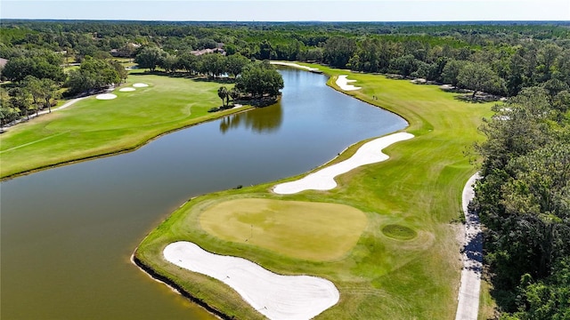 9159 Highland Ridge Way, Tampa, FL 33647 - bird's eye view featuring a water view, golf course view, and a view of trees