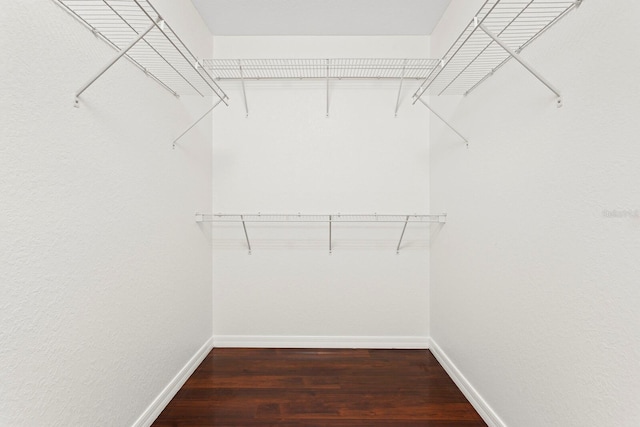 20123 Bay Cedar Ave, Tampa, FL 33647 - spacious closet featuring wood finished floors