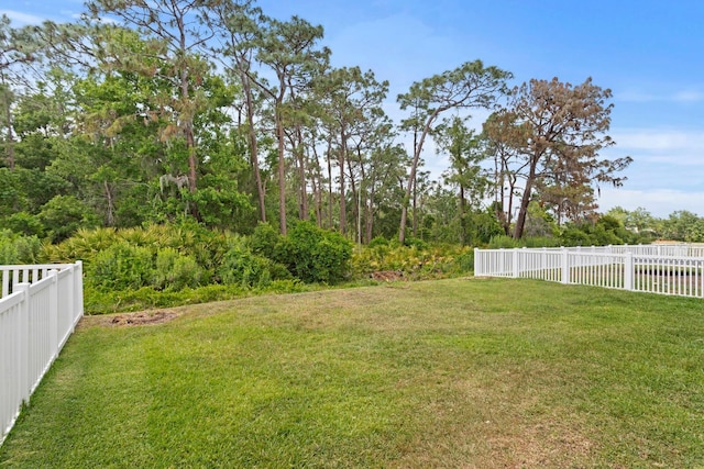 20123 Bay Cedar Ave, Tampa, FL 33647 - view of yard with a fenced backyard