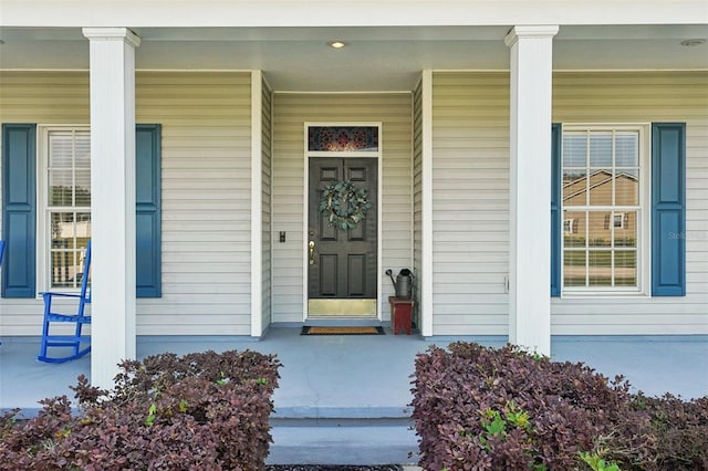6518 Paw Pl, Land O Lakes, FL 34639 - view of exterior entry with covered porch