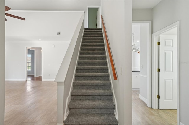 6518 Paw Pl, Land O Lakes, FL 34639 - staircase featuring baseboards, wood finished floors, and a ceiling fan