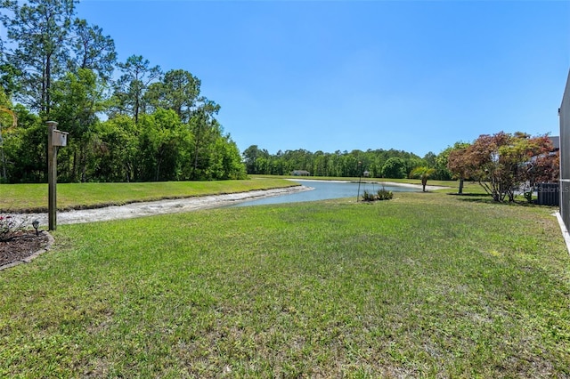 27318 Sora Blvd, Wesley Chapel, FL 33544 - view of yard featuring a water view